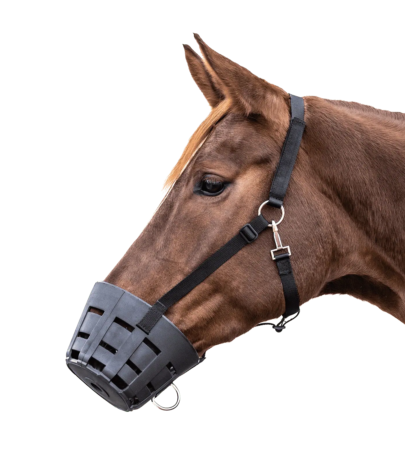 Waldhausen TPU Maulkorb EasyClean, schwarz, Pony