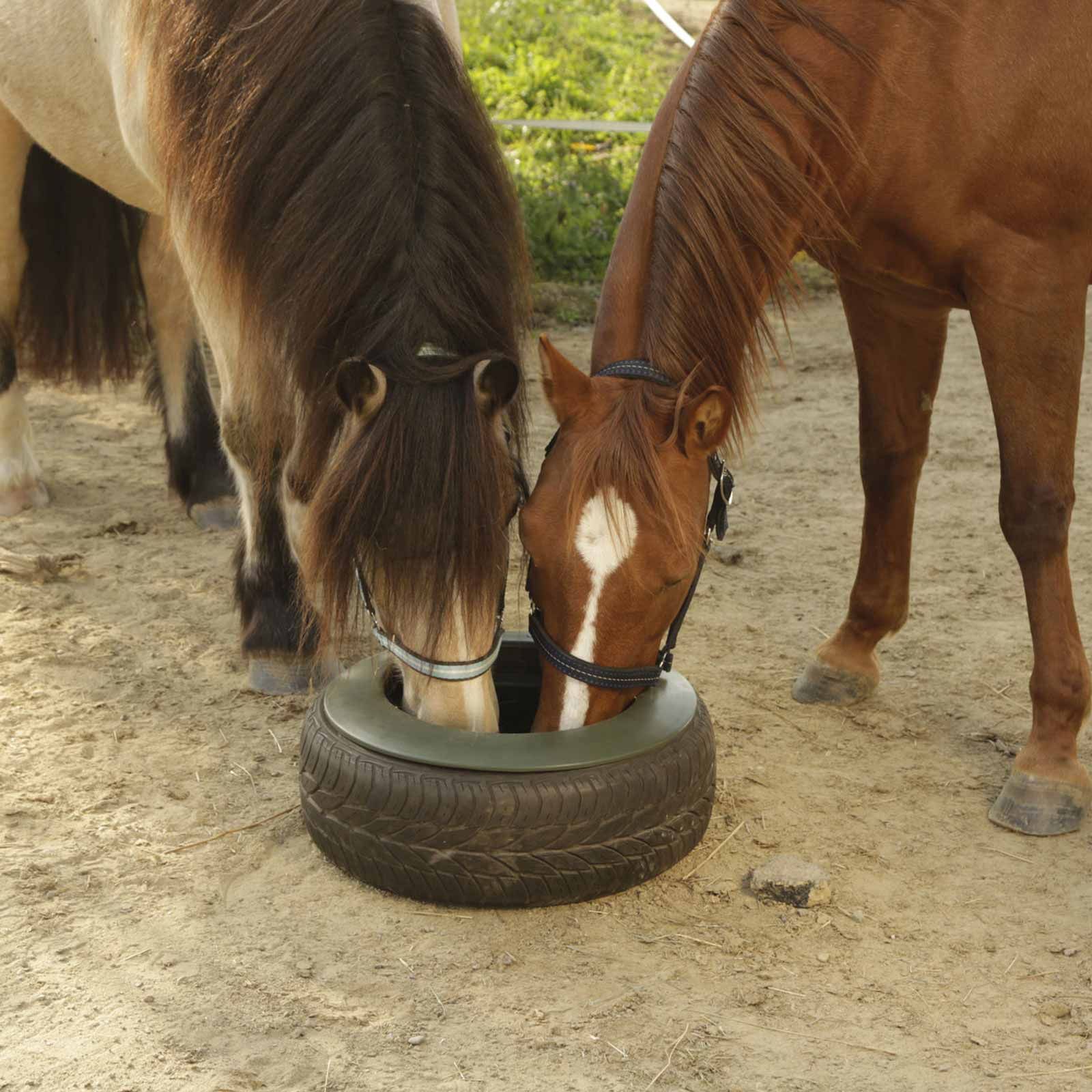 Kerbl Tyre Trough for Horses 15 L, robust polyethylene feed trough, in use