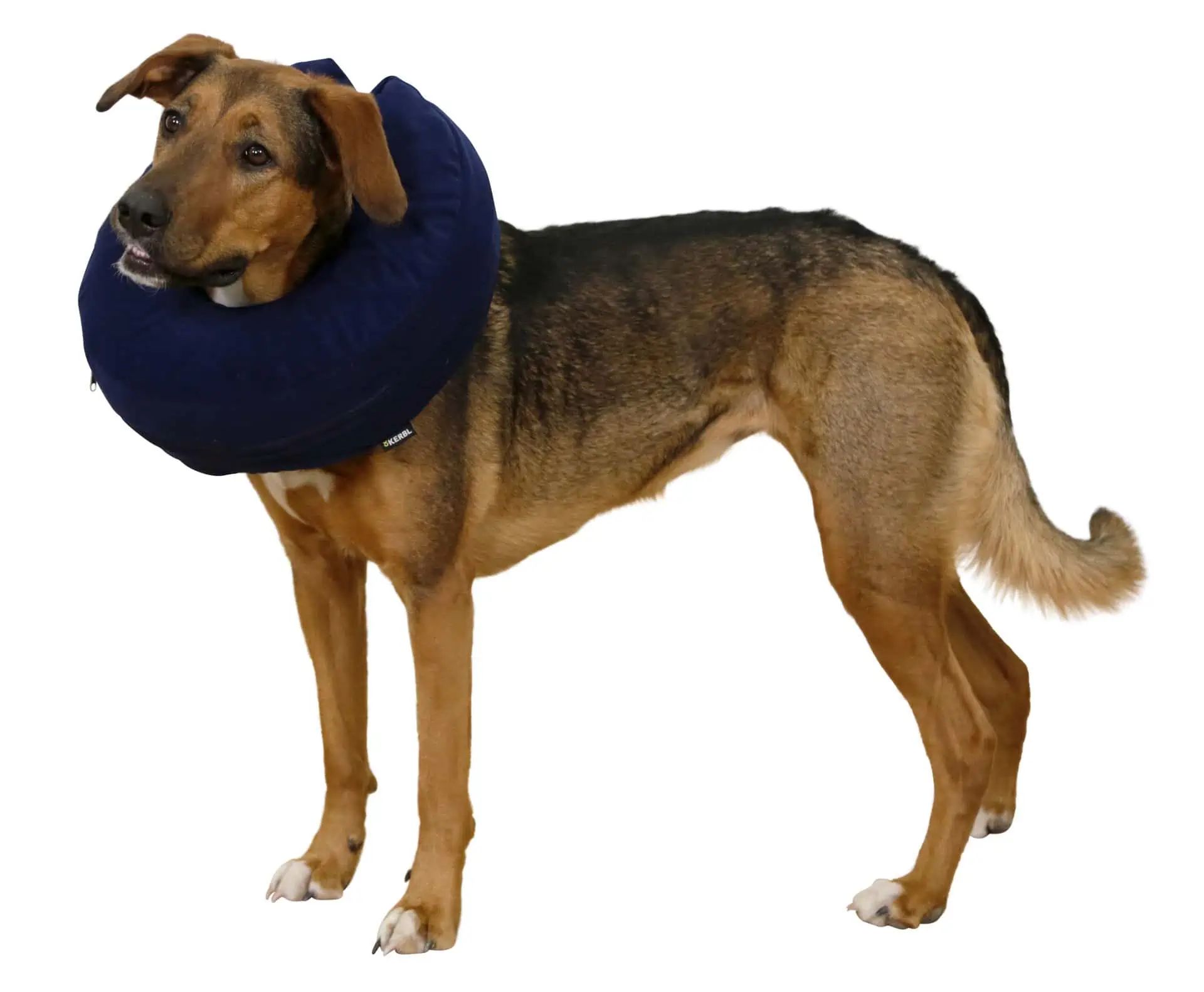 Collier de protection gonflable Kerbl pour chien, fermeture velcro, 25-35 cm