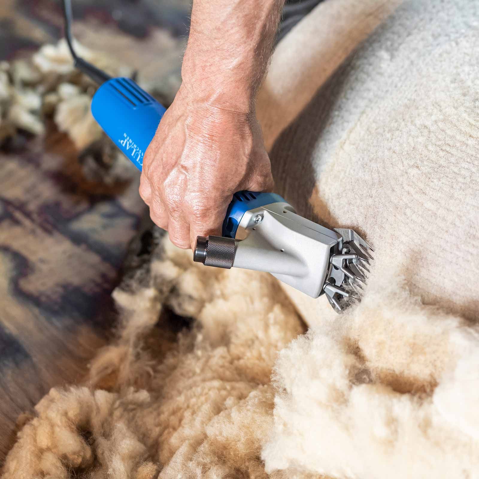 Tondeuse à moutons Aesculap Econom NOVA, tonte précise, en utilisation, dans la main