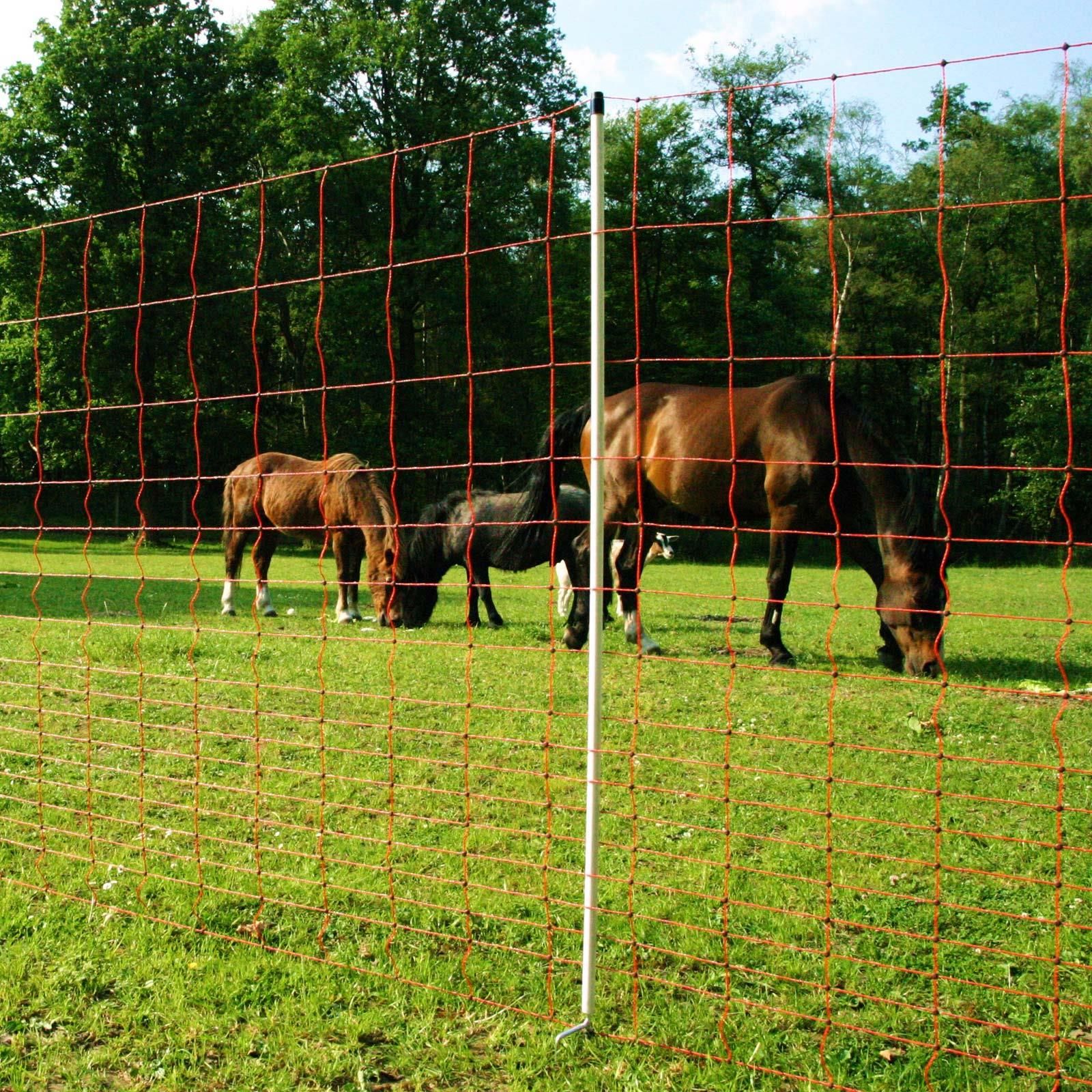 Euro-Mustang-Net Pasture Net electrificable, double tip, orange, 50 m x 145 cm, in use, in the paddock
