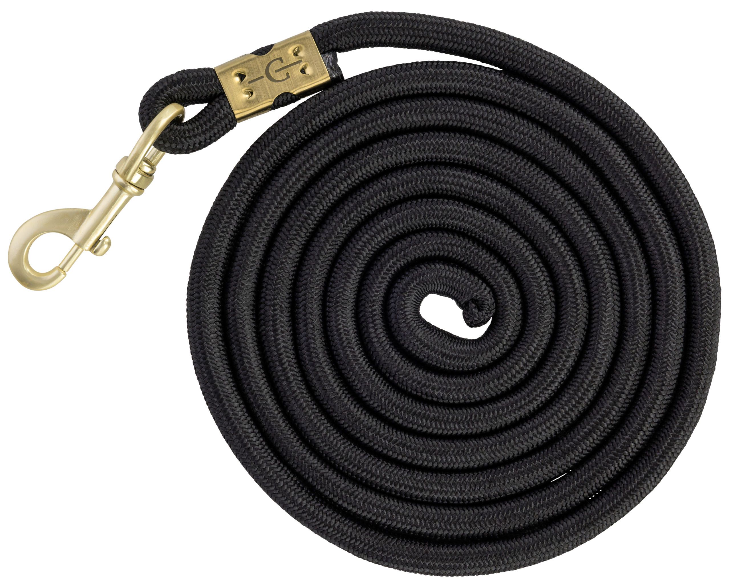 dog leash, slip leash, braided cord, black leash, gold hardware