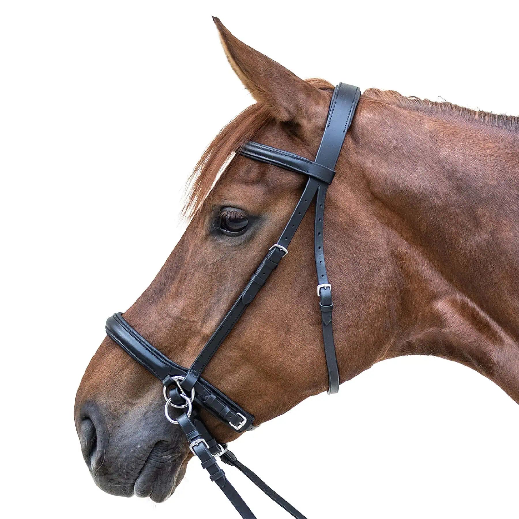 STAR Zaum Gebisslos, gepolstert – Scawbrig-Wirkung für gut ausgebildete Pferde, X-Warmblut