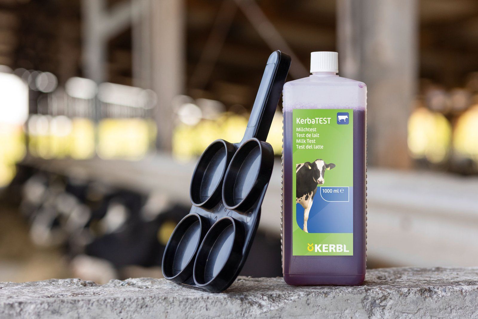 Kerbl Schalm Test Disc for California Mastitis Test, Plastic, black