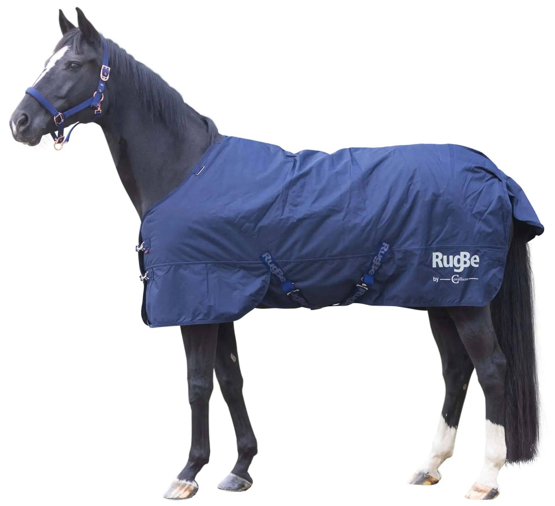 Couverture d'hiver Covalliero RugBe IceProtect 300g dark navy, vue de côté