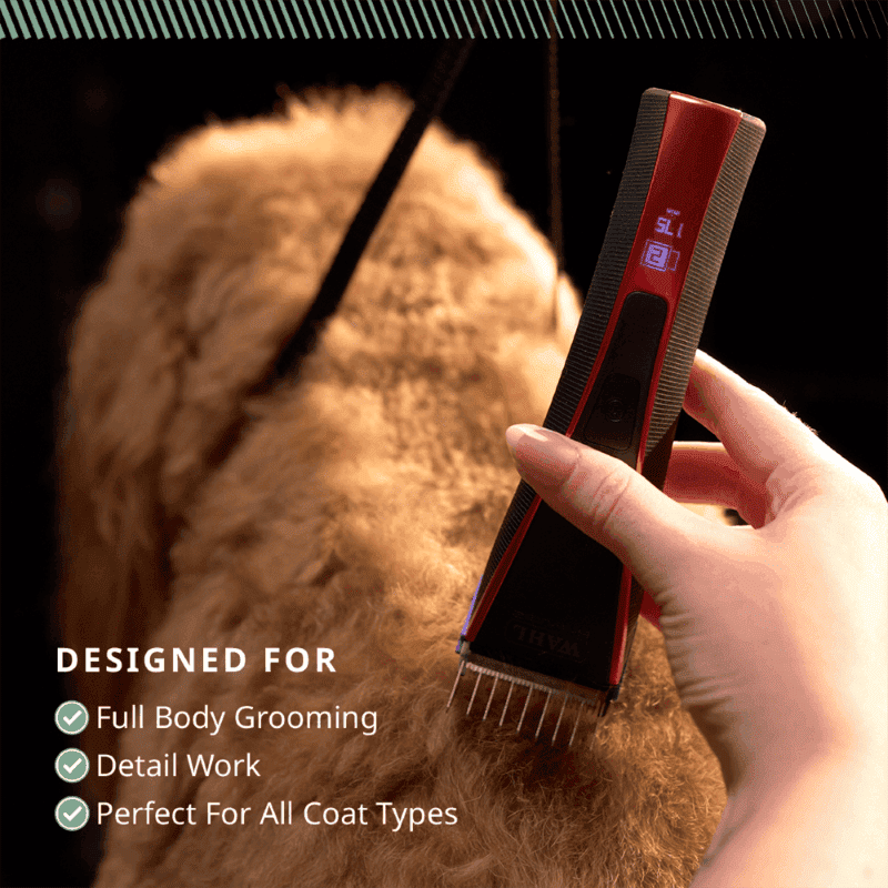 WAHL Bravura2 cordless dog clipper, in use grooming a dog