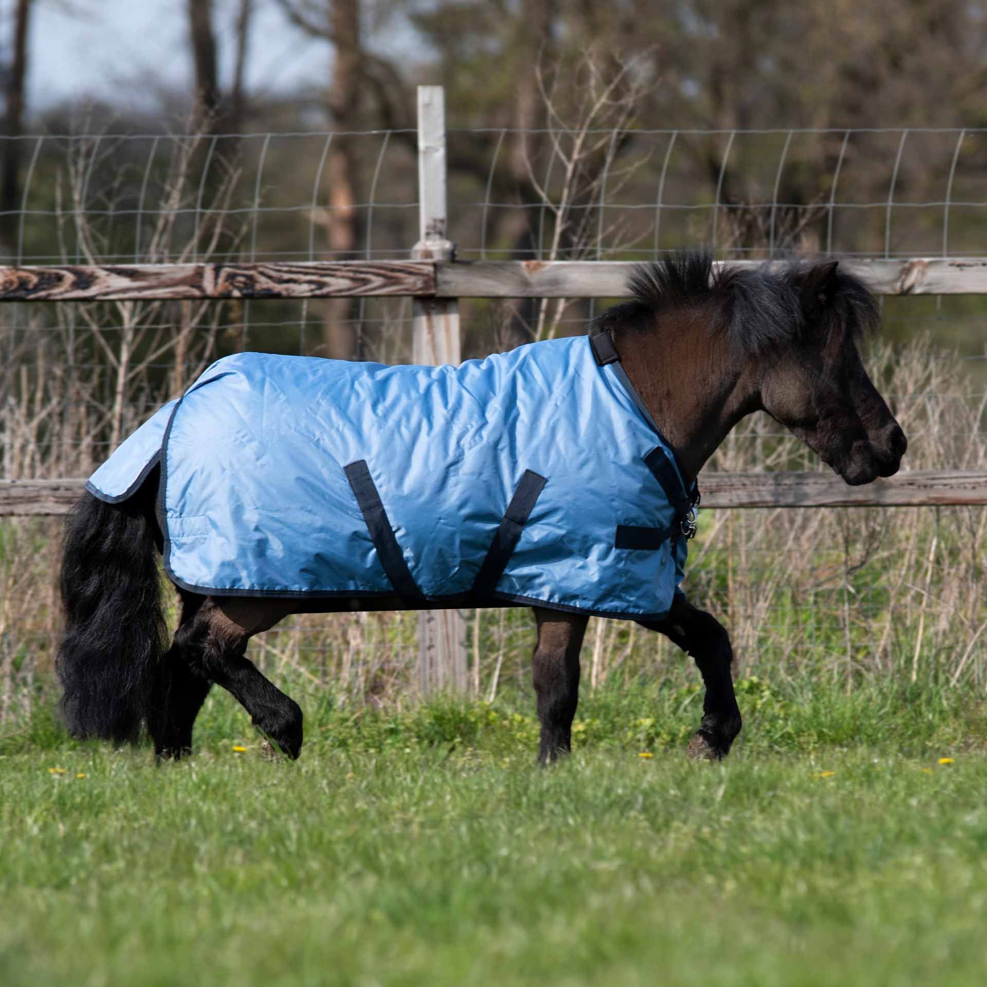 Coperta da esterno BUSSE WINDCHILLY MINI, impermeabile per pony, in uso, al pascolo