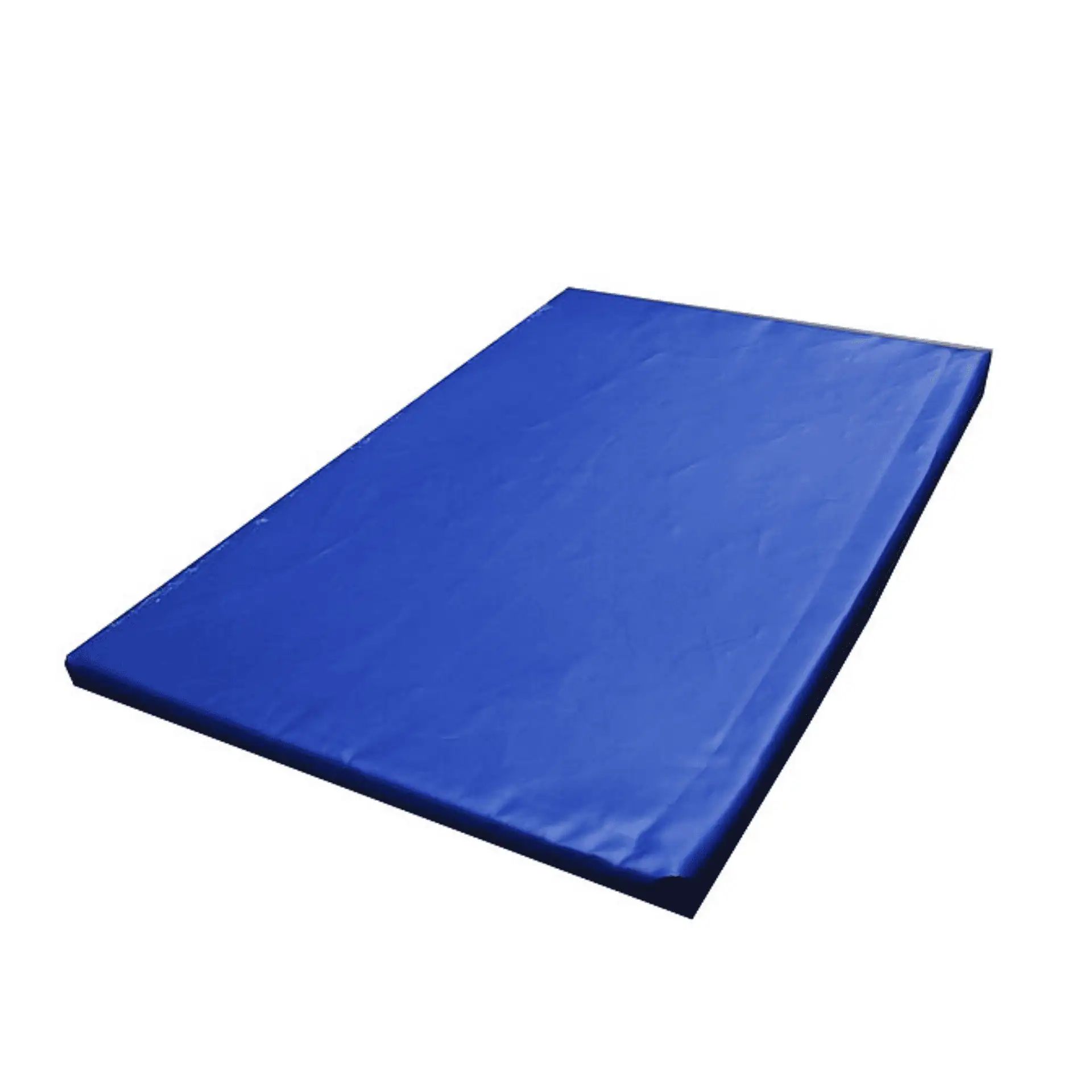 Tapis désinfectant Göbel pour chaussures, entrée d'étable
