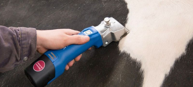 Tondeuse pour bétail Aesculap