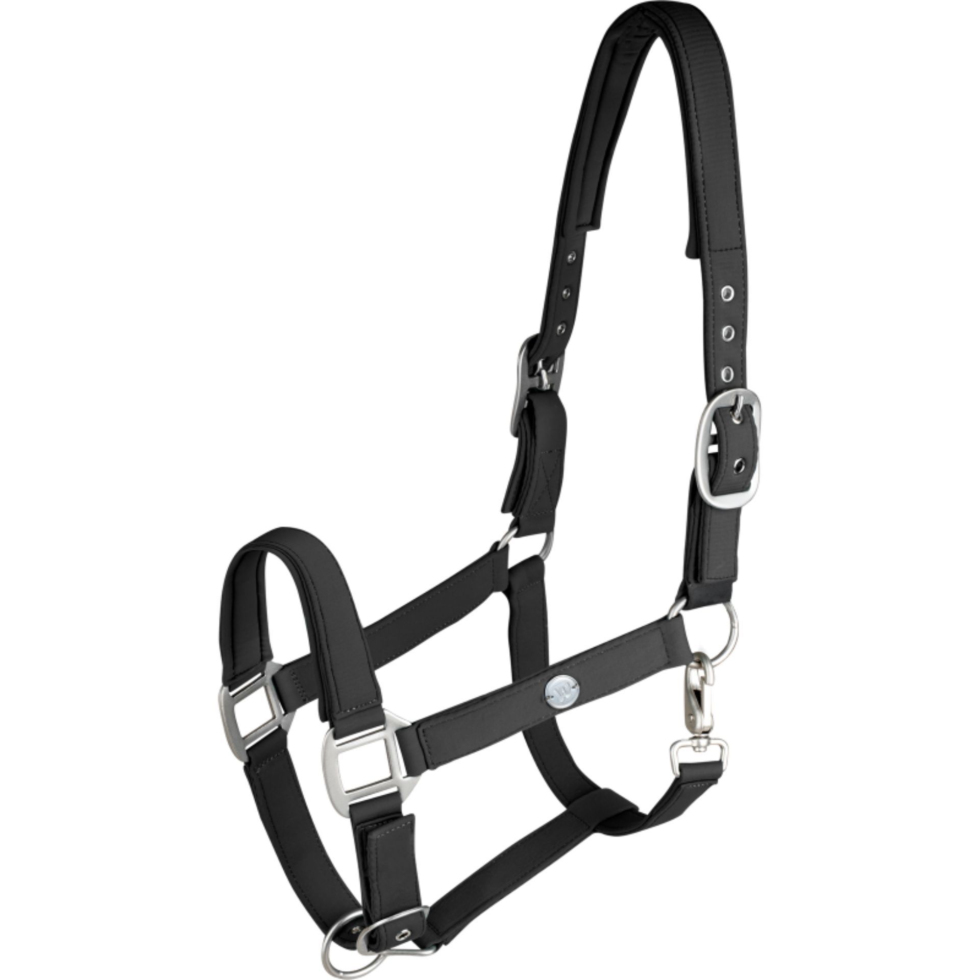 harness, strap, halter, martingale, leather