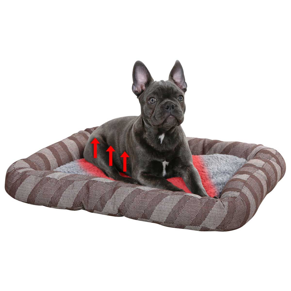Kerbl Pablo Cuccia cane autoriscaldante, grigia, peluche morbido, infografica