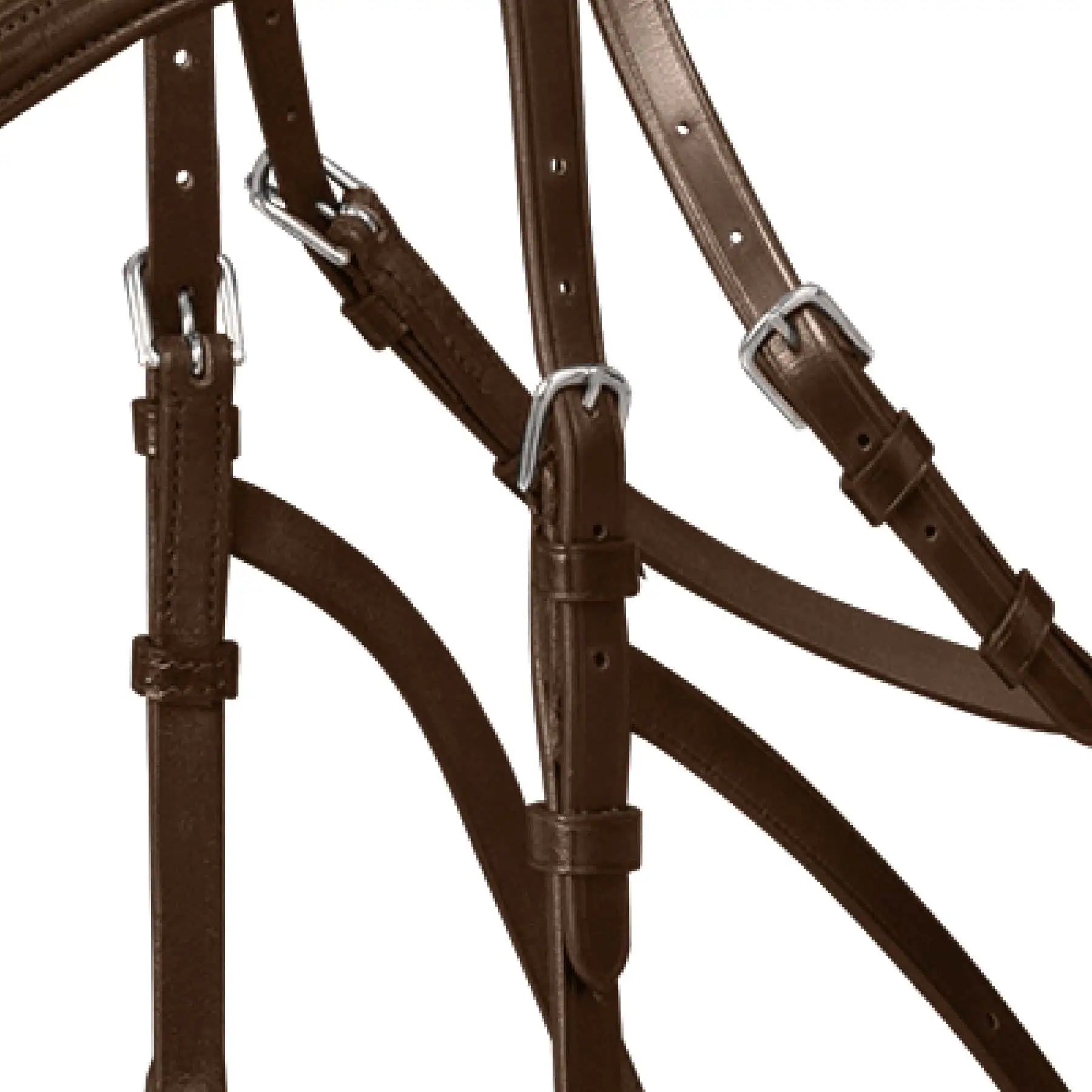 Bridon Waldhausen X-Line Hackamore sans mors, cuir, détail, fermeture