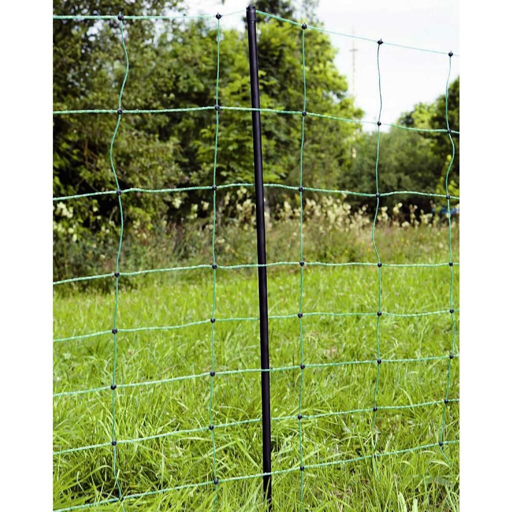 Agrarzone kit recinto elettrico per pecore N 3500, 5,5 J, rete 50 m x 90 cm, verde, in uso, al pascolo