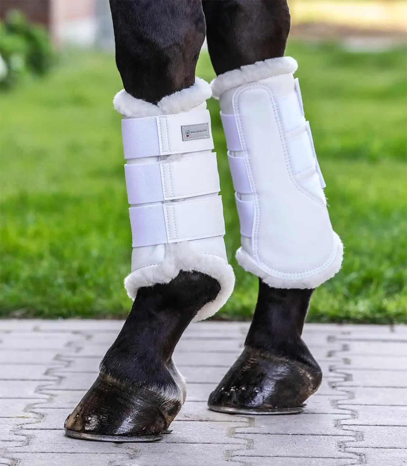 Guêtre de dressage Soft Waldhausen, protection contre les frottements, M