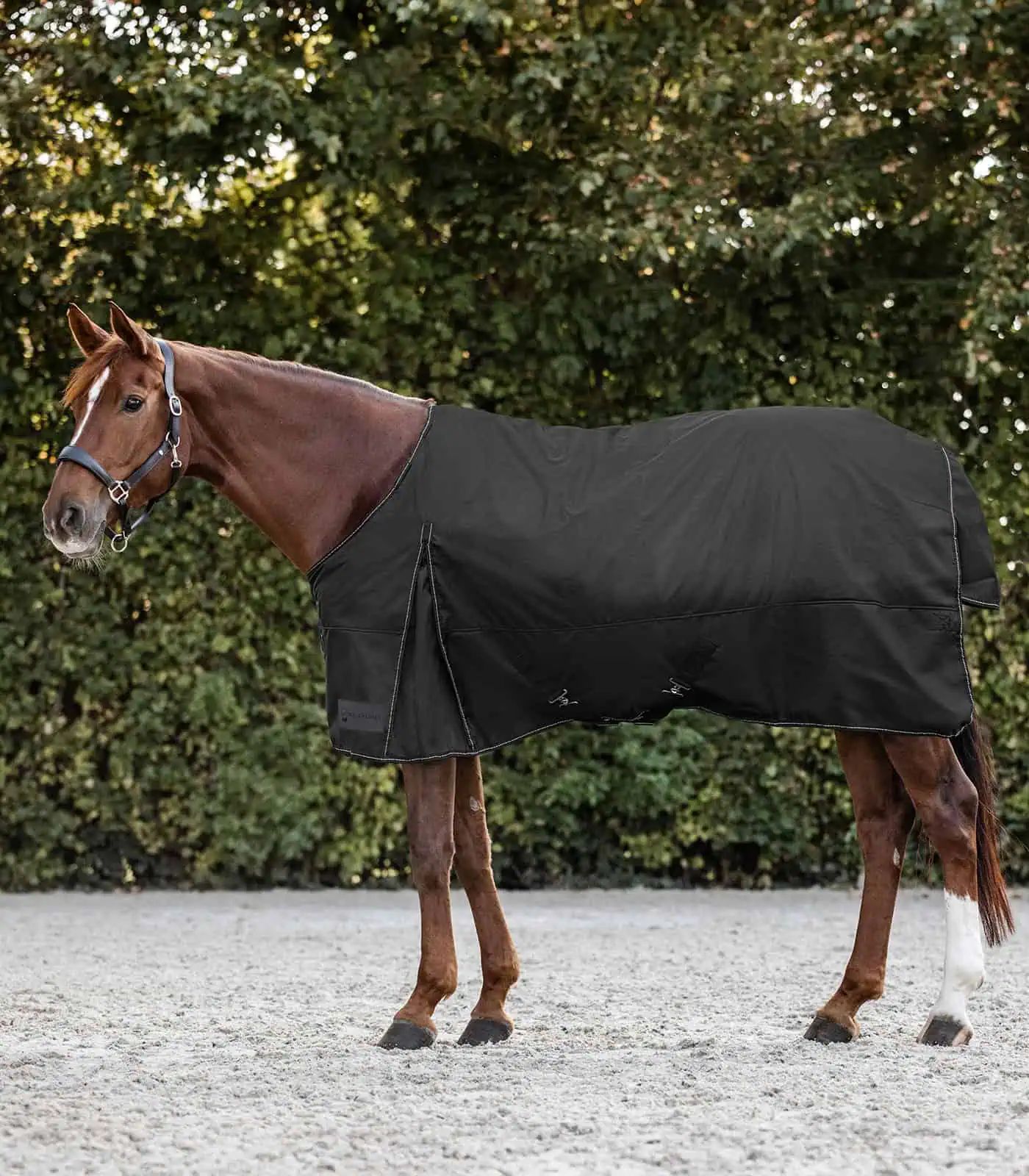 Waldhausen Couverture d'extérieur NORDIC, 100 g, imperméable, Noir, 155 cm