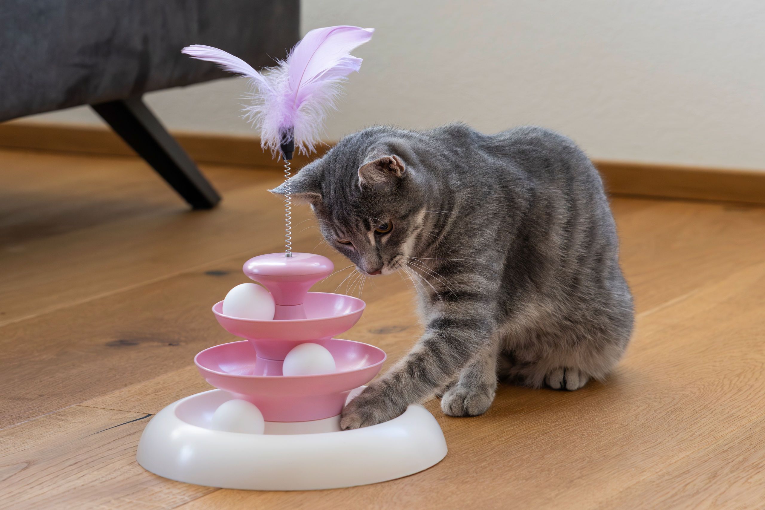 Kerbl Cloudi Cat Toy with 3 Levels, pink, 24 x 24 cm, in use