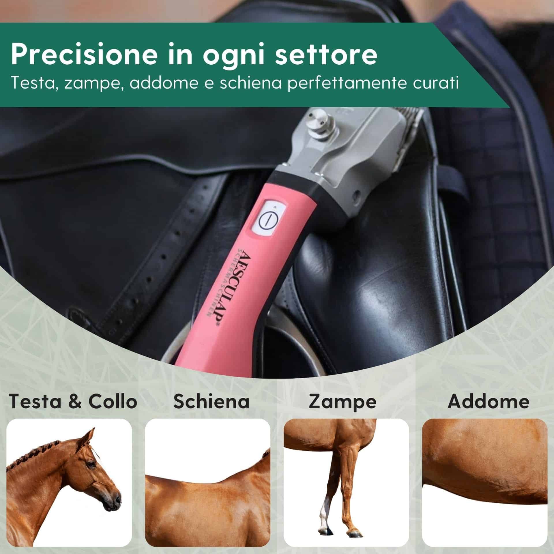 Aesculap Bonum Cordless Horse Clipper Pink with TORQUI Adjustment Tool, infographic