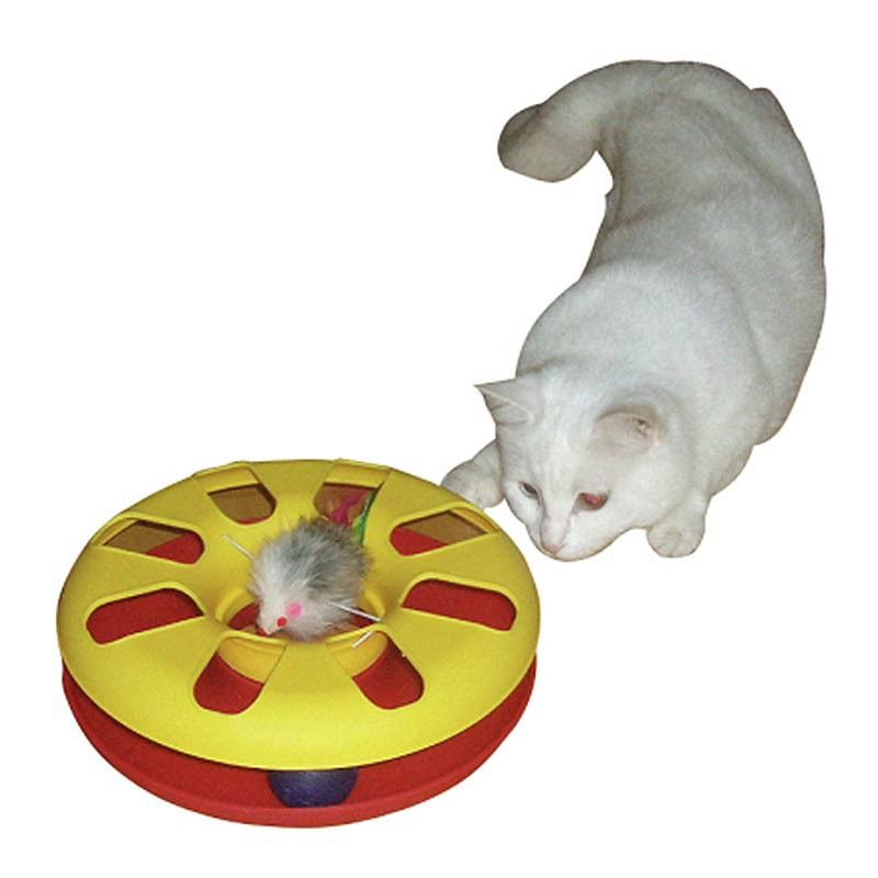 cat toy 