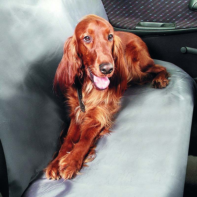 Bâche de protection voiture Karlie CAR GUARD