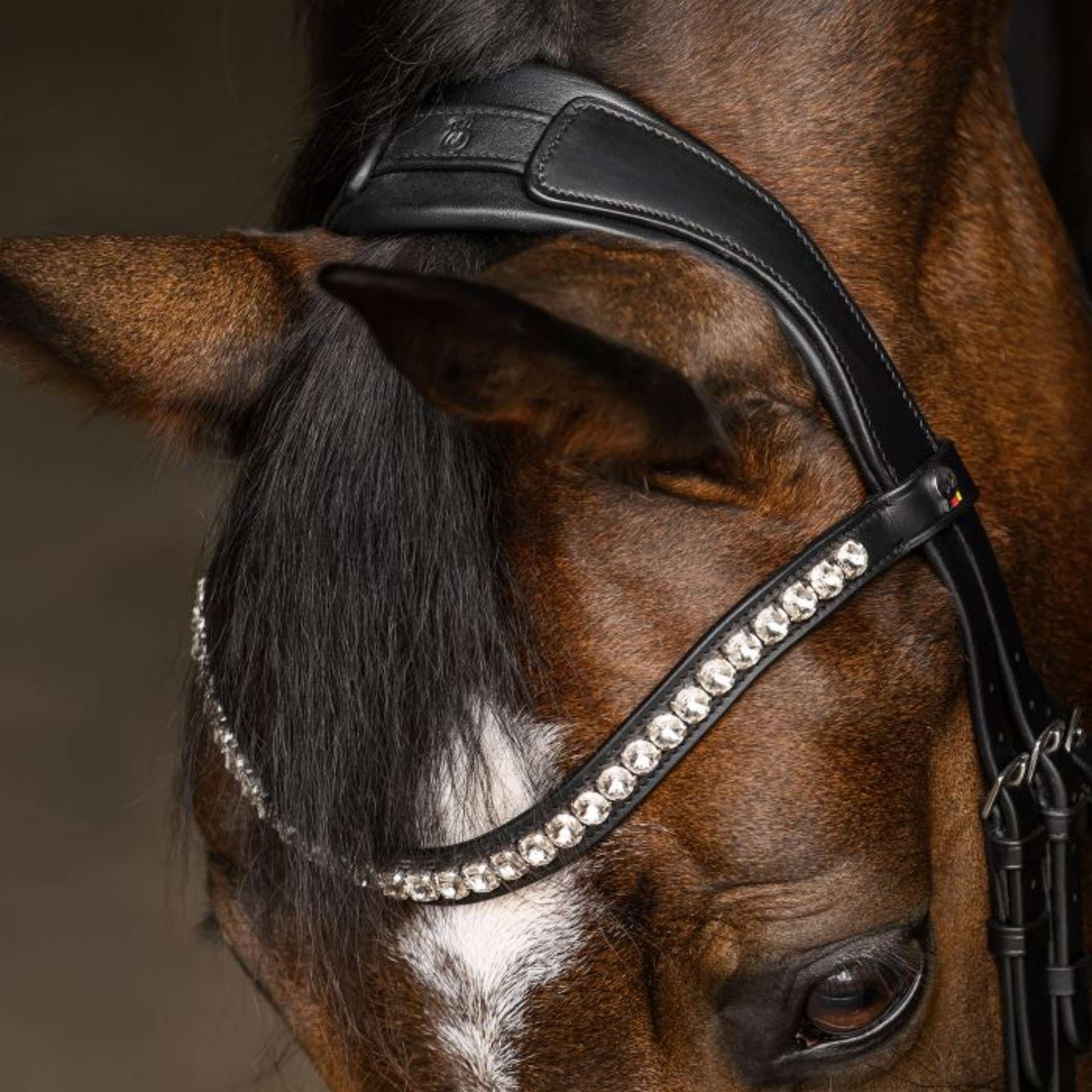 horse, horse tack, bridle, headstall, rhinestones