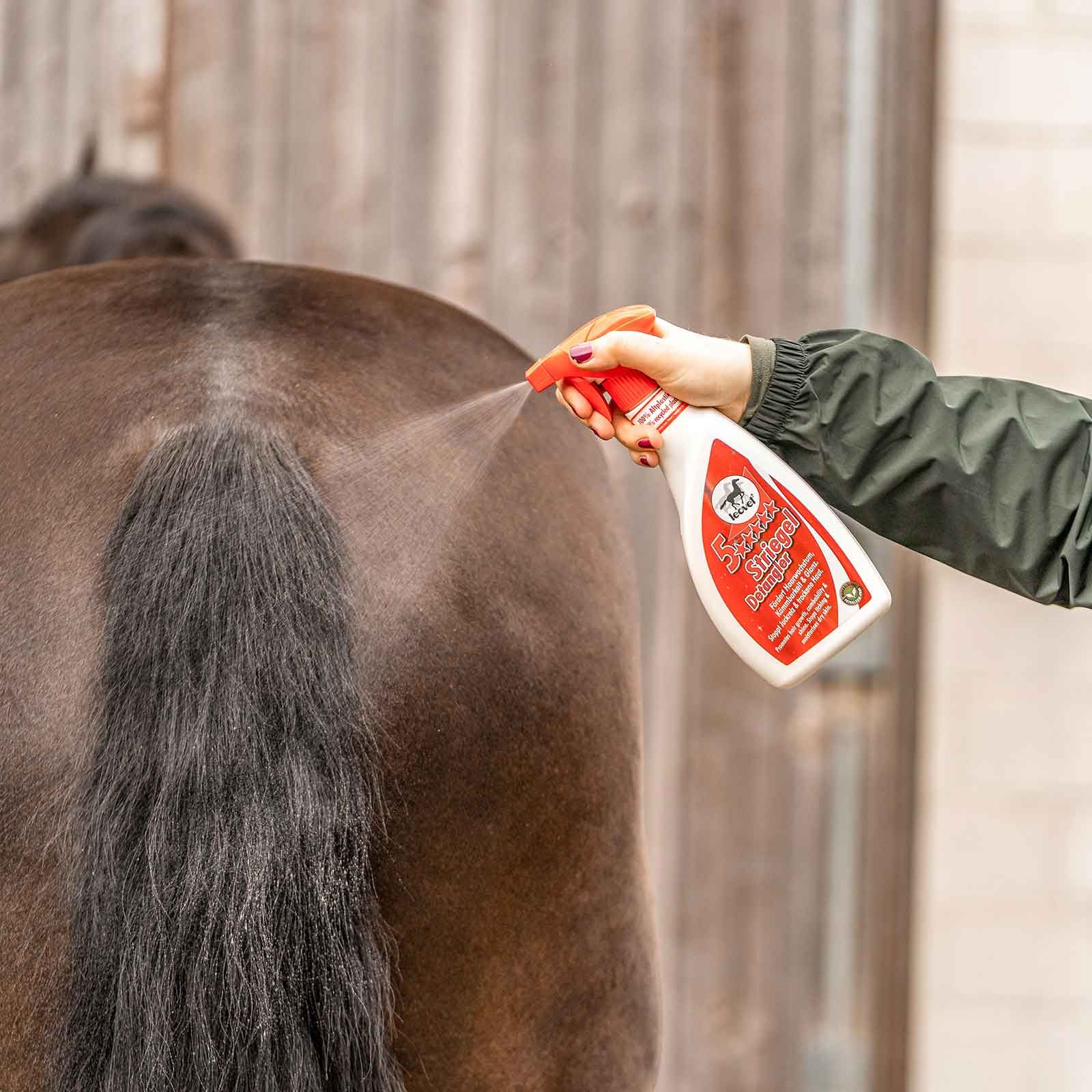 Leovet 5-Sterne Striegel Mähnenspray für Pferde, 550 ml, im Einsatz, in der Hand