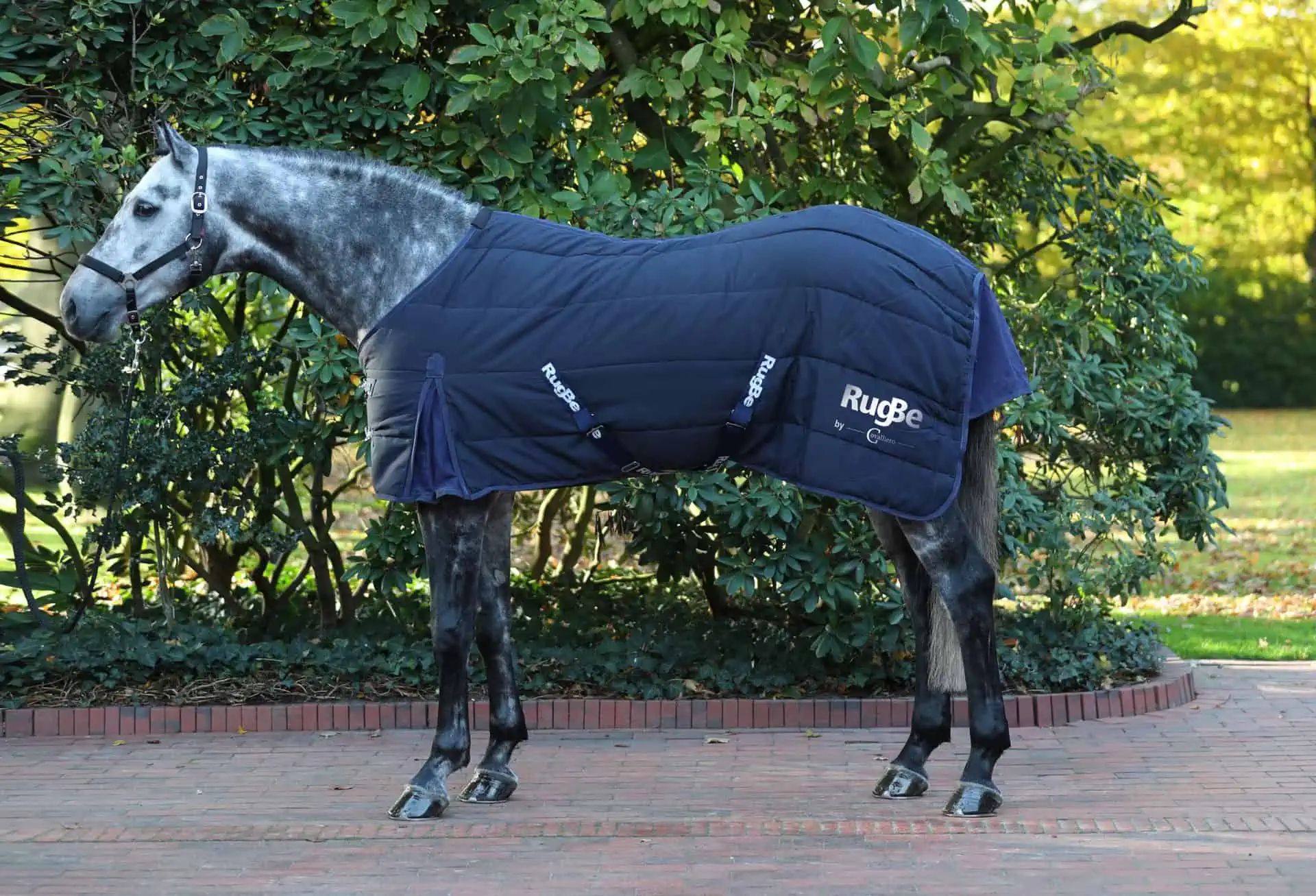 Covalliero Stalldecke RugBe Indoor, Pferdedecke mit Thermovlies, Seitenansicht