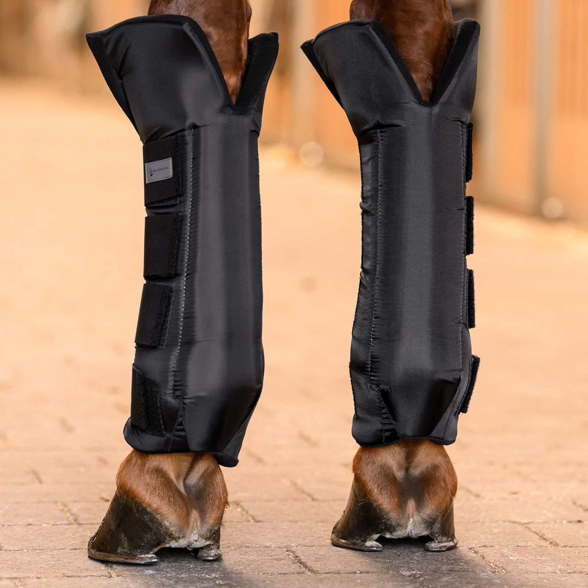 Pferdebeinschutz, Beinprotektor, Stallausrüstung, schwarz, gepaddelt