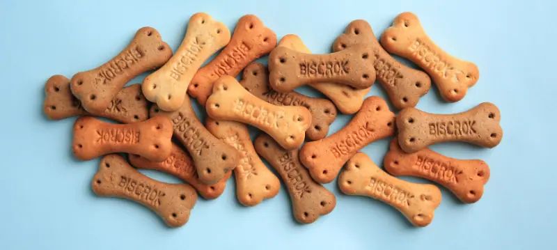 Friandises pour chiens