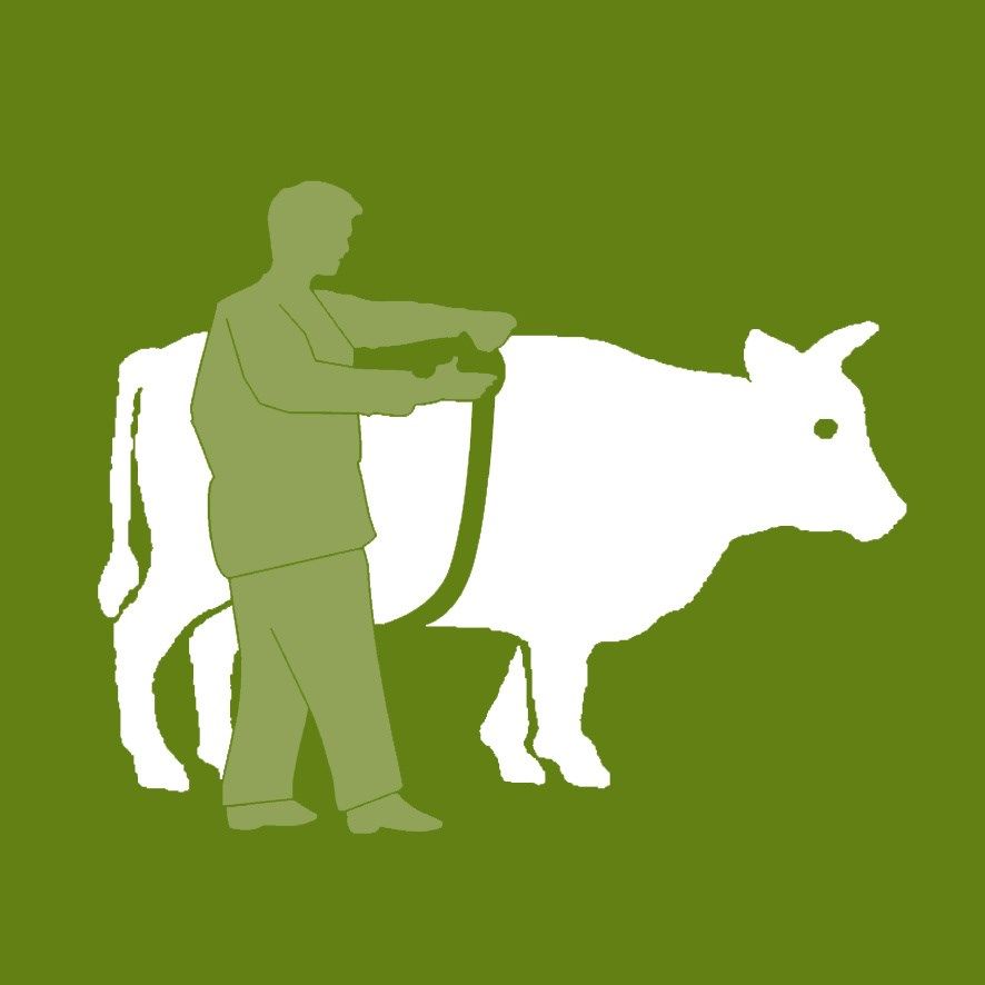 Kerbl Bandă de măsurare pentru bovine și porcine, 250 cm, infografic