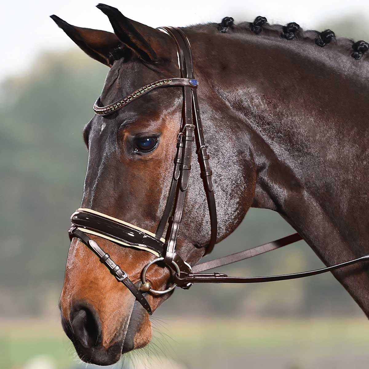 BUSSE SOLIBEL Trensenzaum LUXURY