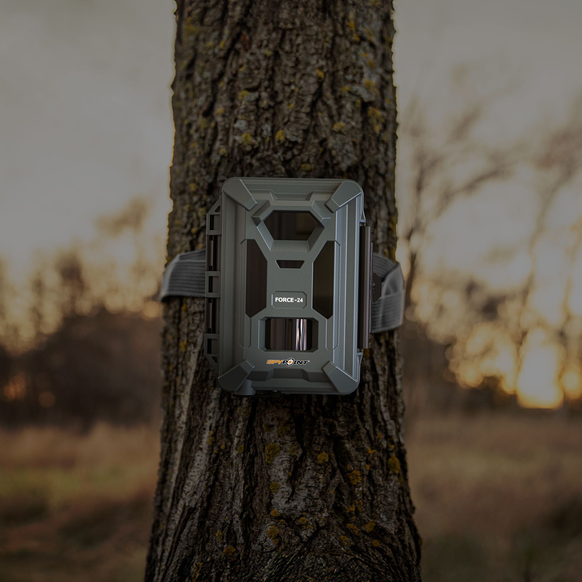 SPYPOINT Wildkamera FORCE-24, 24 MP Auflösung, 2K Video, für die Jagd
