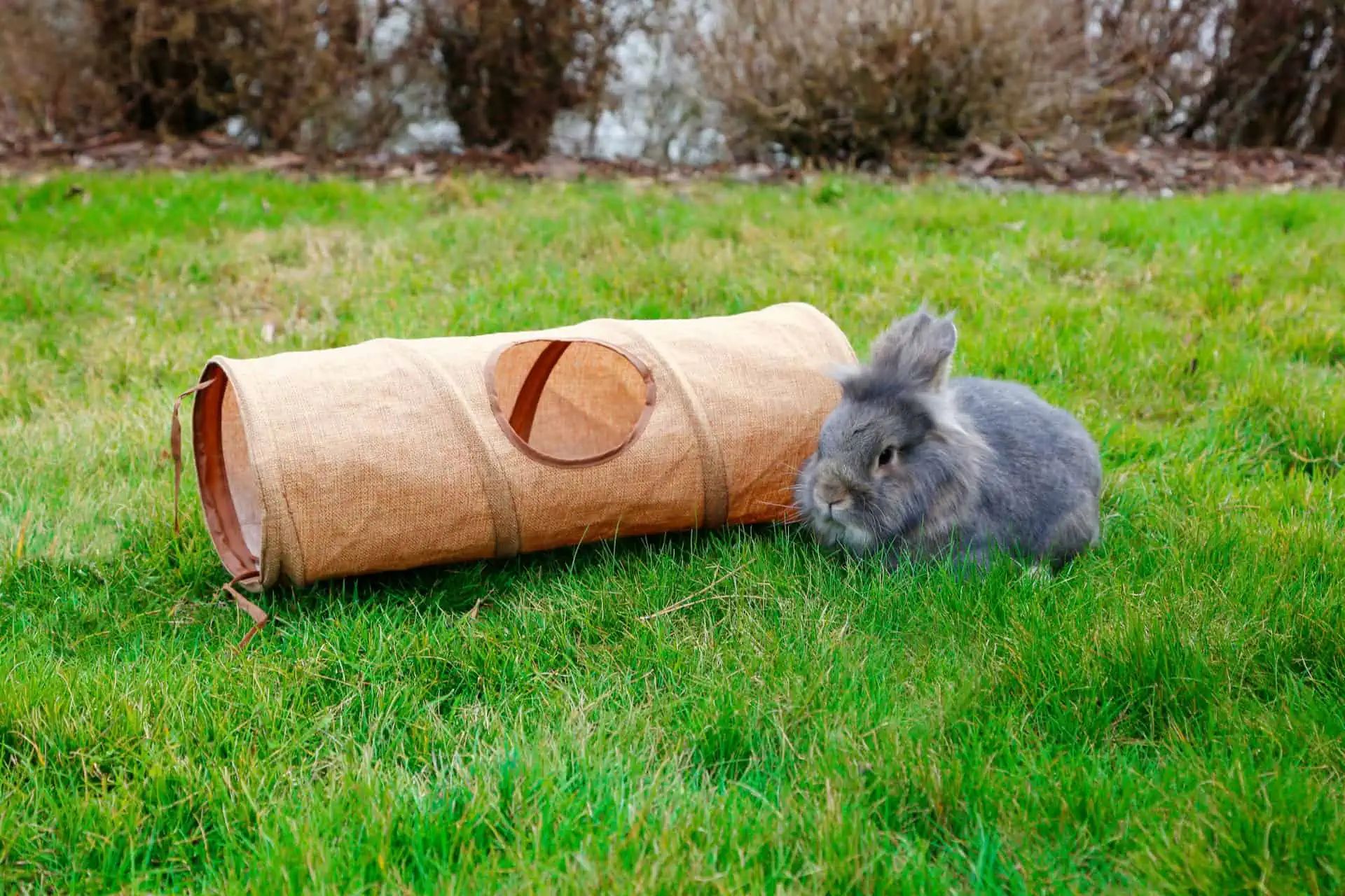 Nagertunnel aus Leinen 50 x 18 cm mit drei Eingängen, platzsparend, im Einsatz