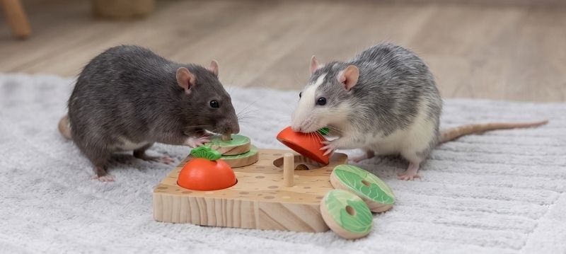 Jouets