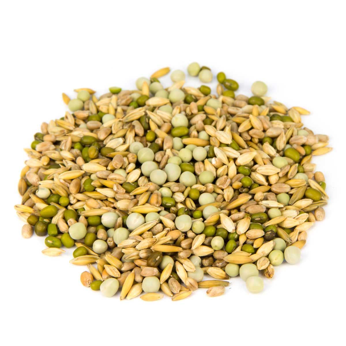 Leimüller Semi germinati per pappagalli e parrocchetti, prodotto sfuso