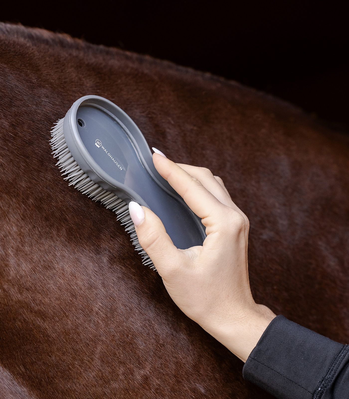 Waldhausen Spazzola Tutto in Uno Cavallo & Cane, Set da 2 con Raschietto, in uso, in mano