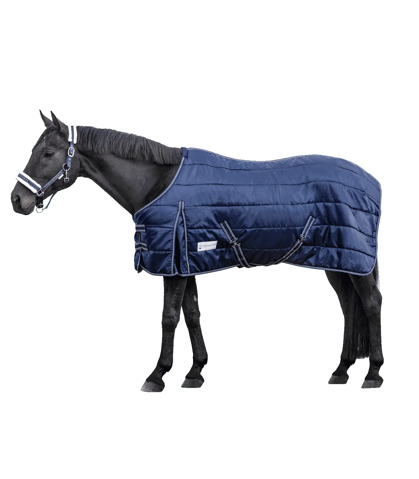 Waldhausen ECONOMIC Stalldecke 200 g, atmungsaktiv & anatomisch, Nachtblau 135 cm