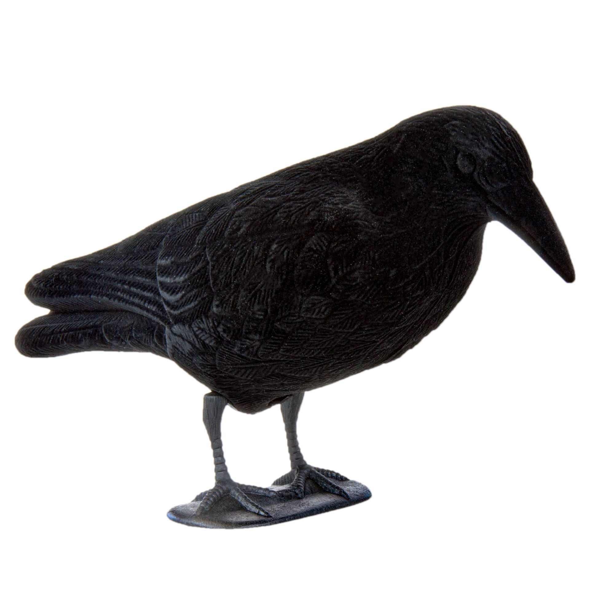 Beflockte Vollkörper Lockkrähe
