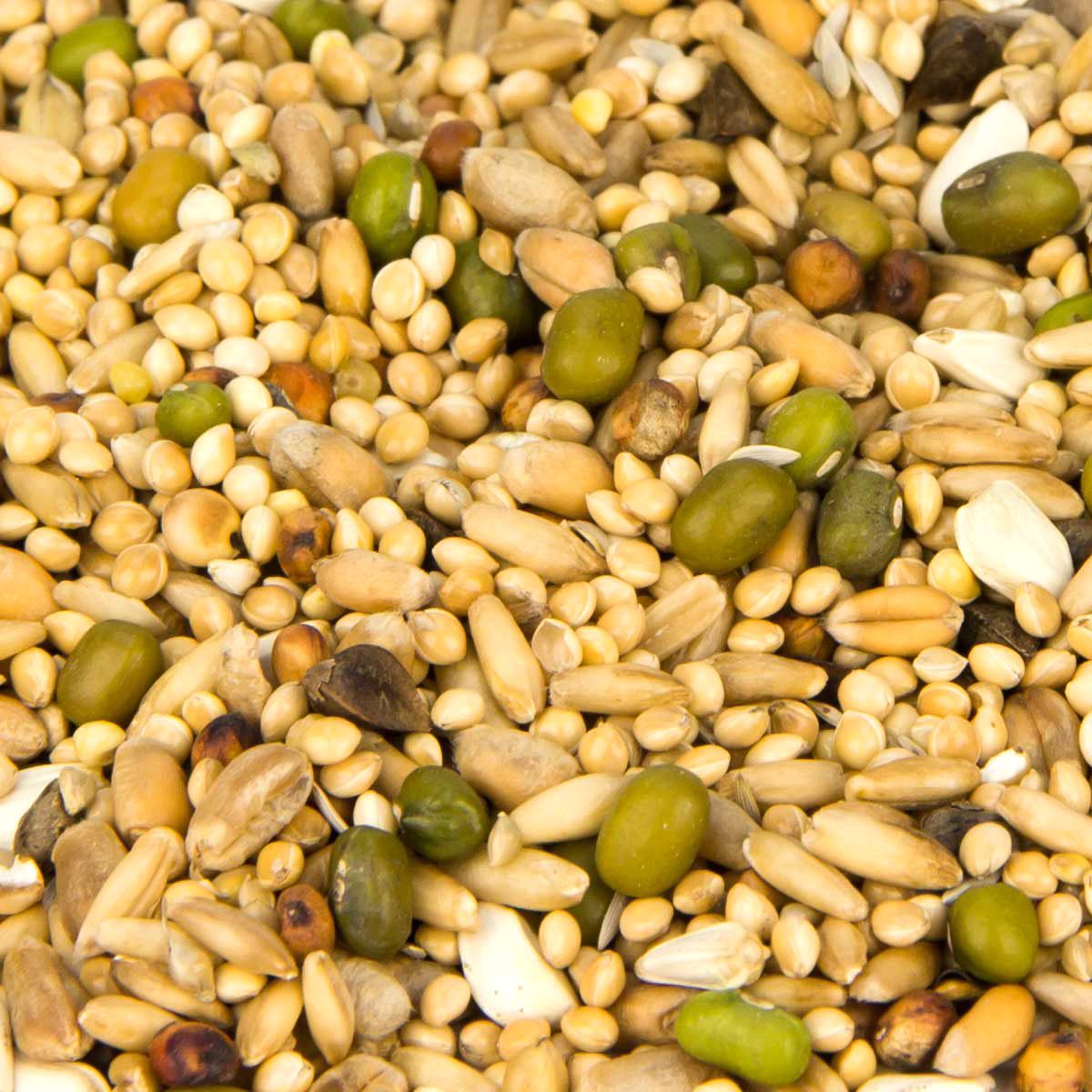 Leimüller Germ Food Budgie, detail view