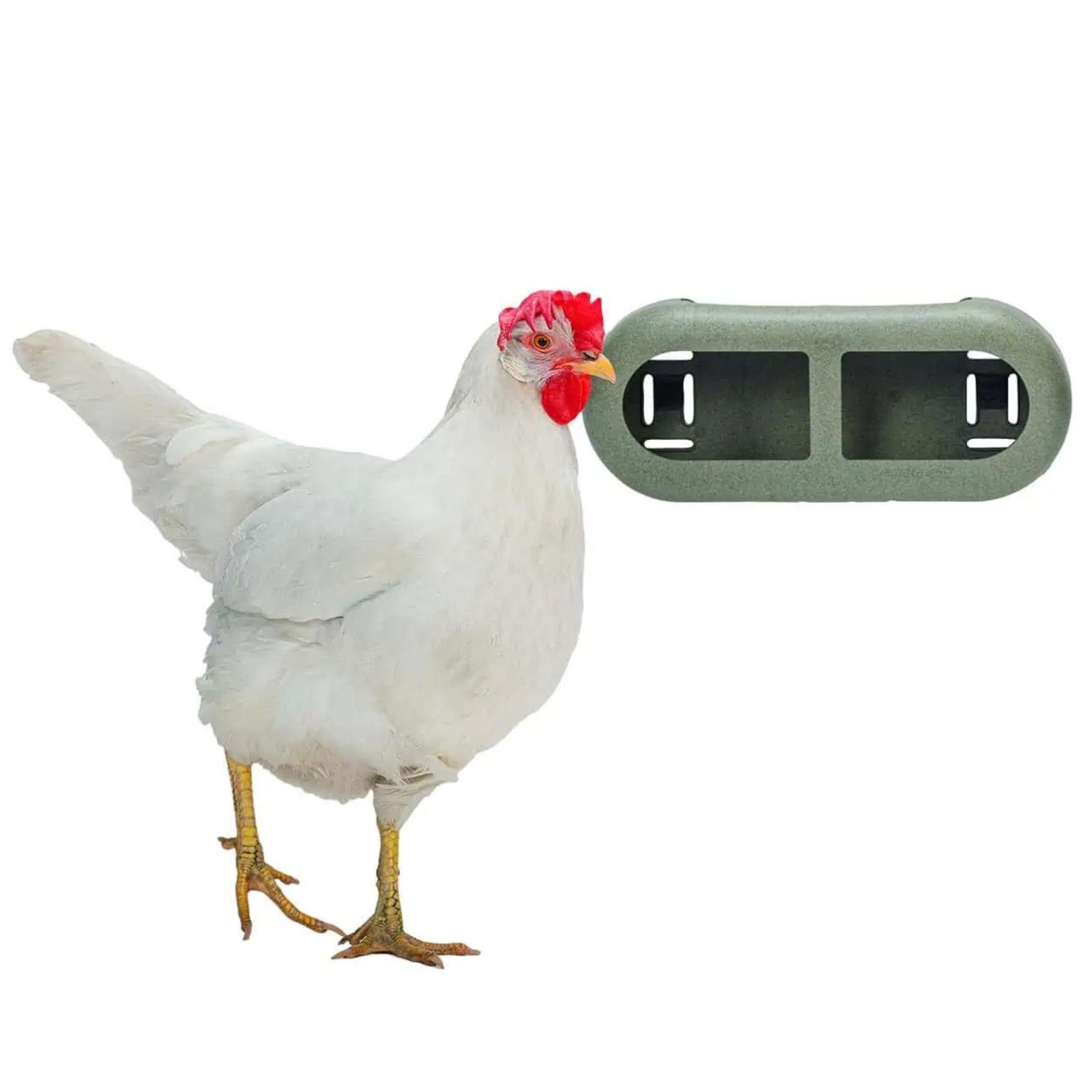 Beeztees Chicken Feeder, illustrative image