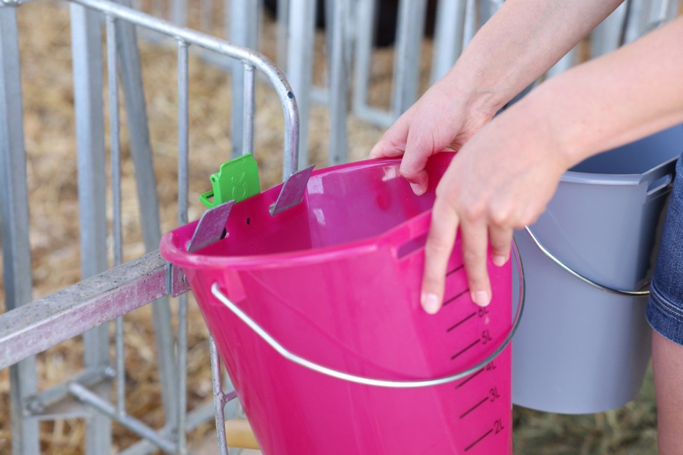 pink bucket, plastic bucket, measurement marks, hand hold, garden accessory