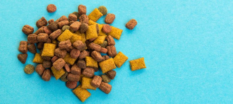 Nourriture sèche pour chat
