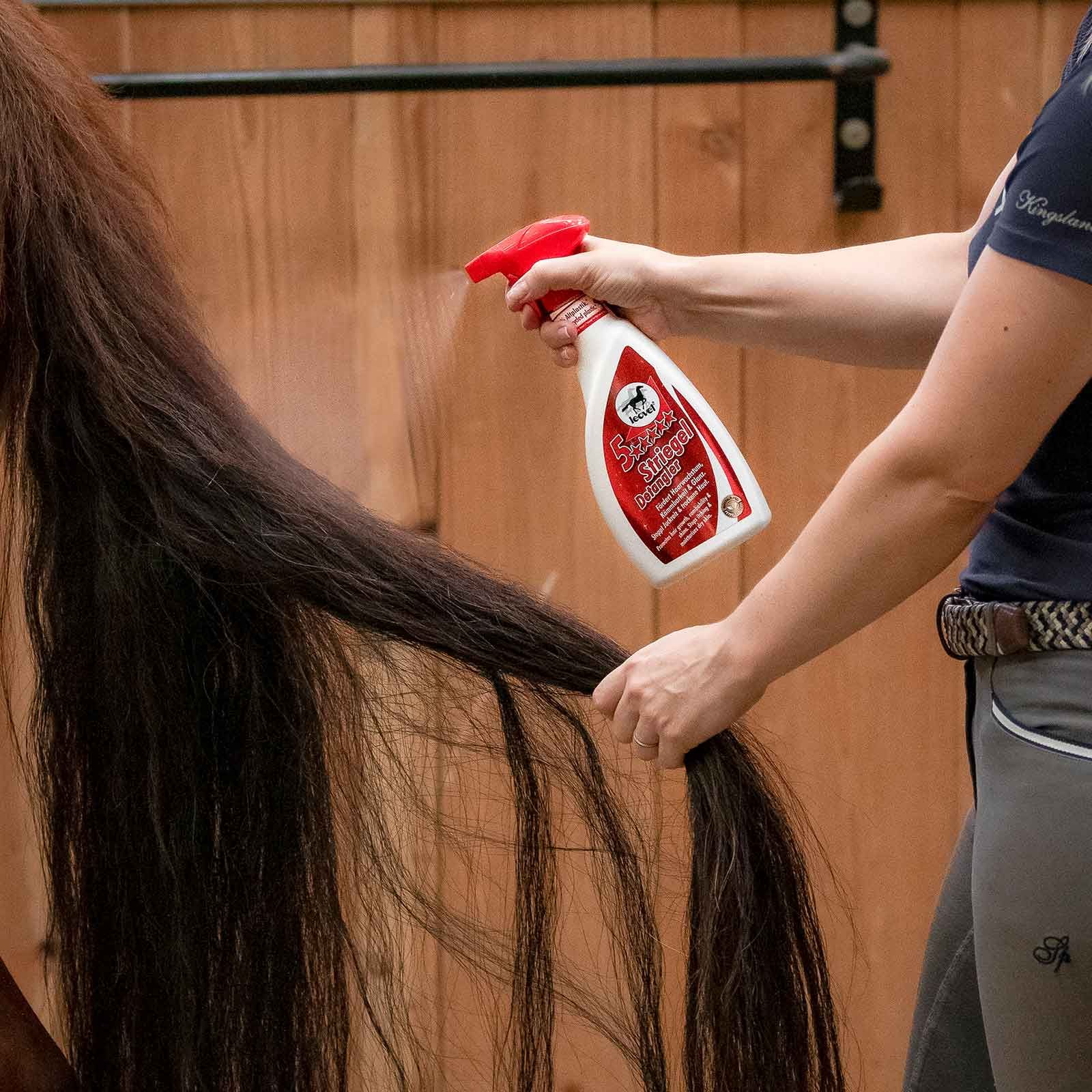 Leovet 5-Sterne Striegel Mähnenspray für Pferde, 550 ml, im Einsatz