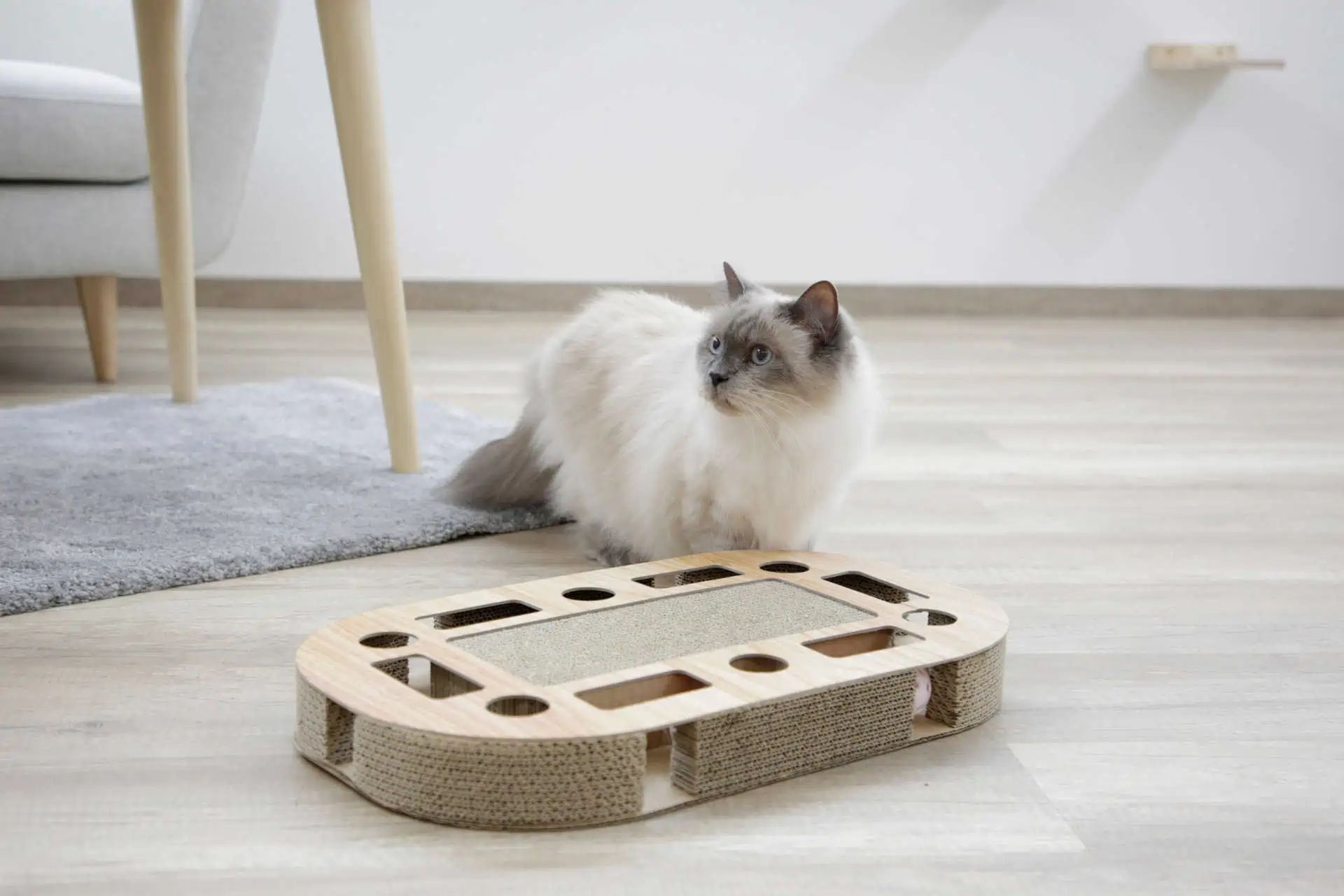Kerbl Planche à Gratter Ovalo pour Chat avec Herbe à Chat, 52 x 31 x 8,5 cm