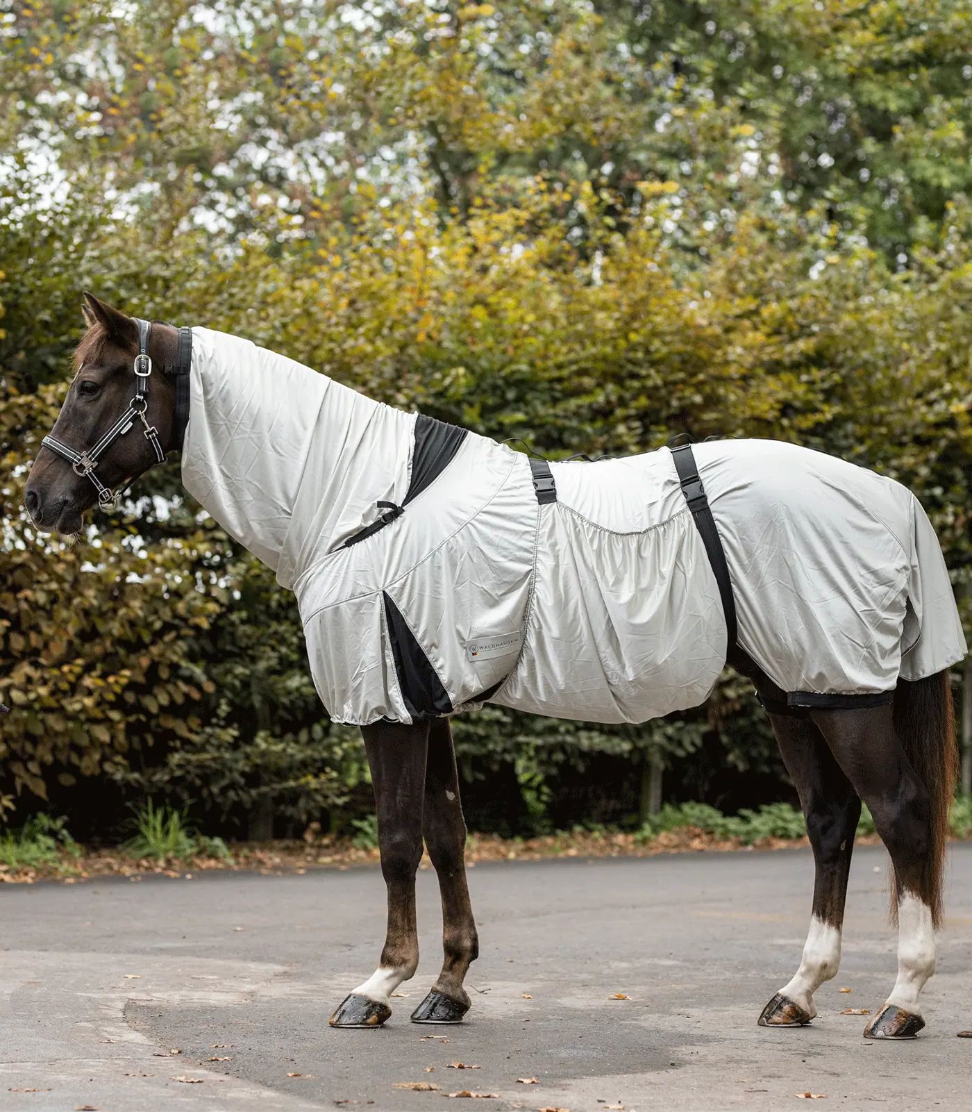 Waldhausen Couverture Anti-Eczéma Premium, Respirante, avec Bavette, gris argenté 165 cm