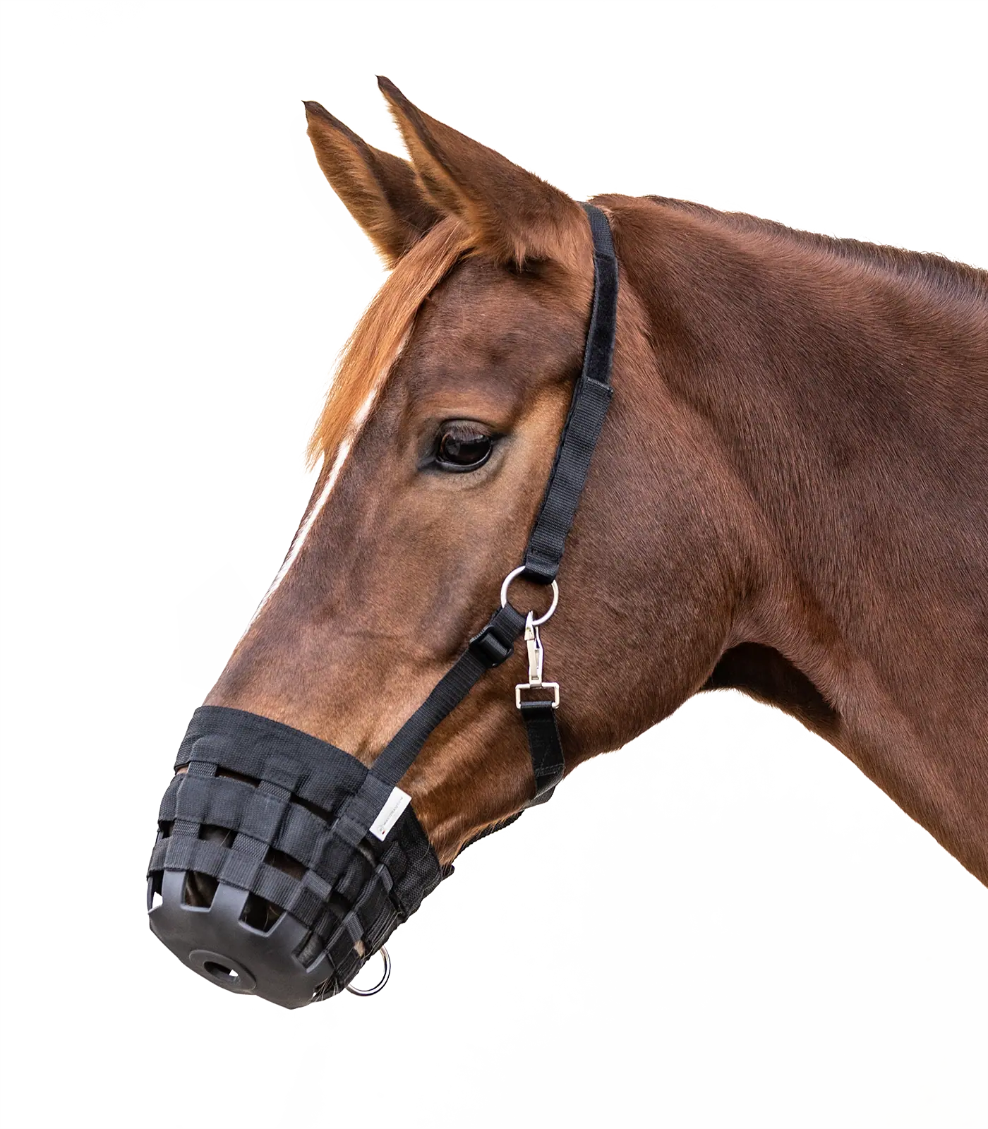 Waldhausen Weide-Maulkorb Fressbremse Pferd, 5-fach verstellbar, COB