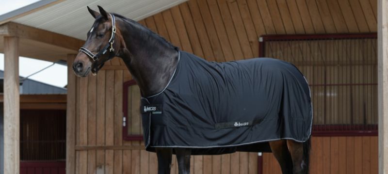 Bucas Cooler Rugs
