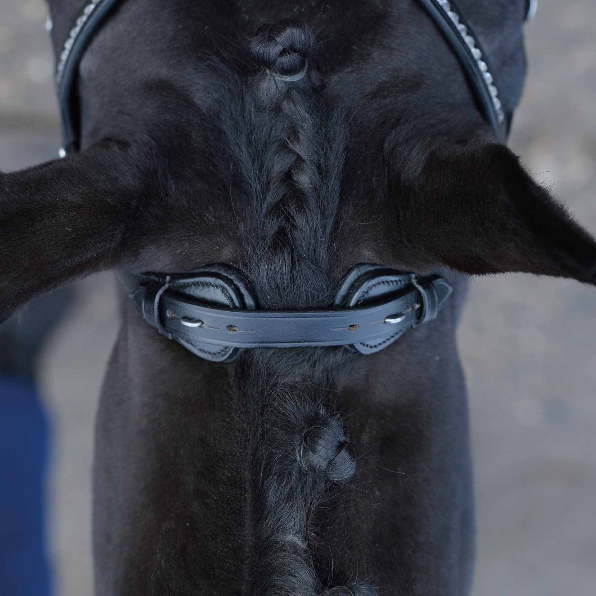 BUSSE Trense EMOTION, anatomisch geformte Soft-Leder-Trense, schwarz/weiß, FULL