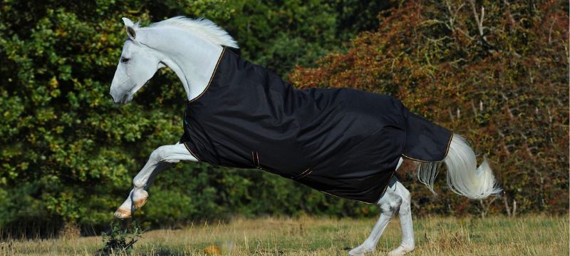 Couverture pour cheval
