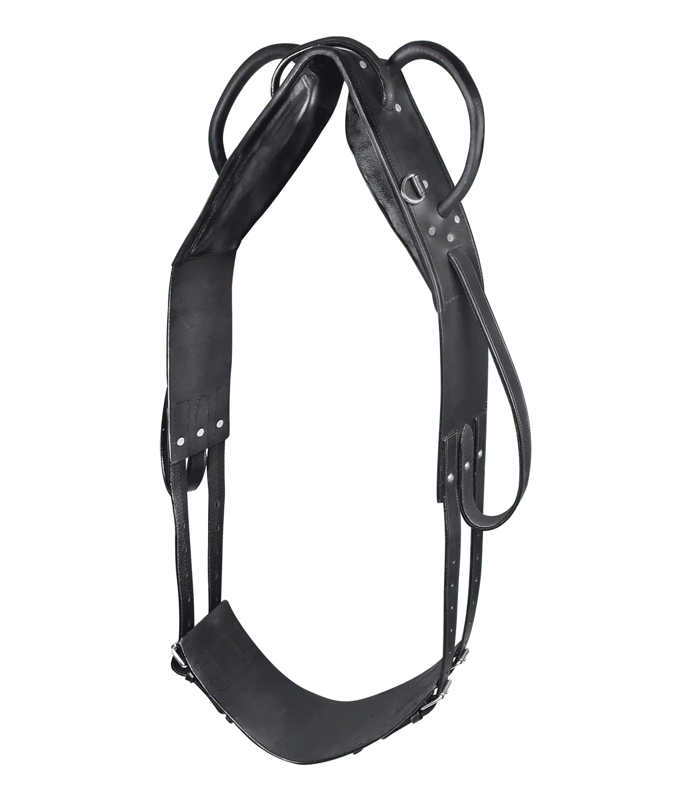 STAR Surfaix de voltige et longe en cuir, robuste avec 5 anneaux, Cheval
