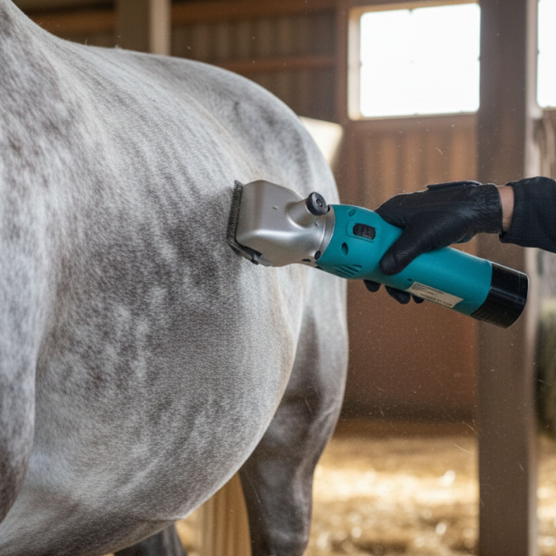 Tondeuse pour chevaux Agrarzone PowerCut, sans fil à 2 batteries, en utilisation